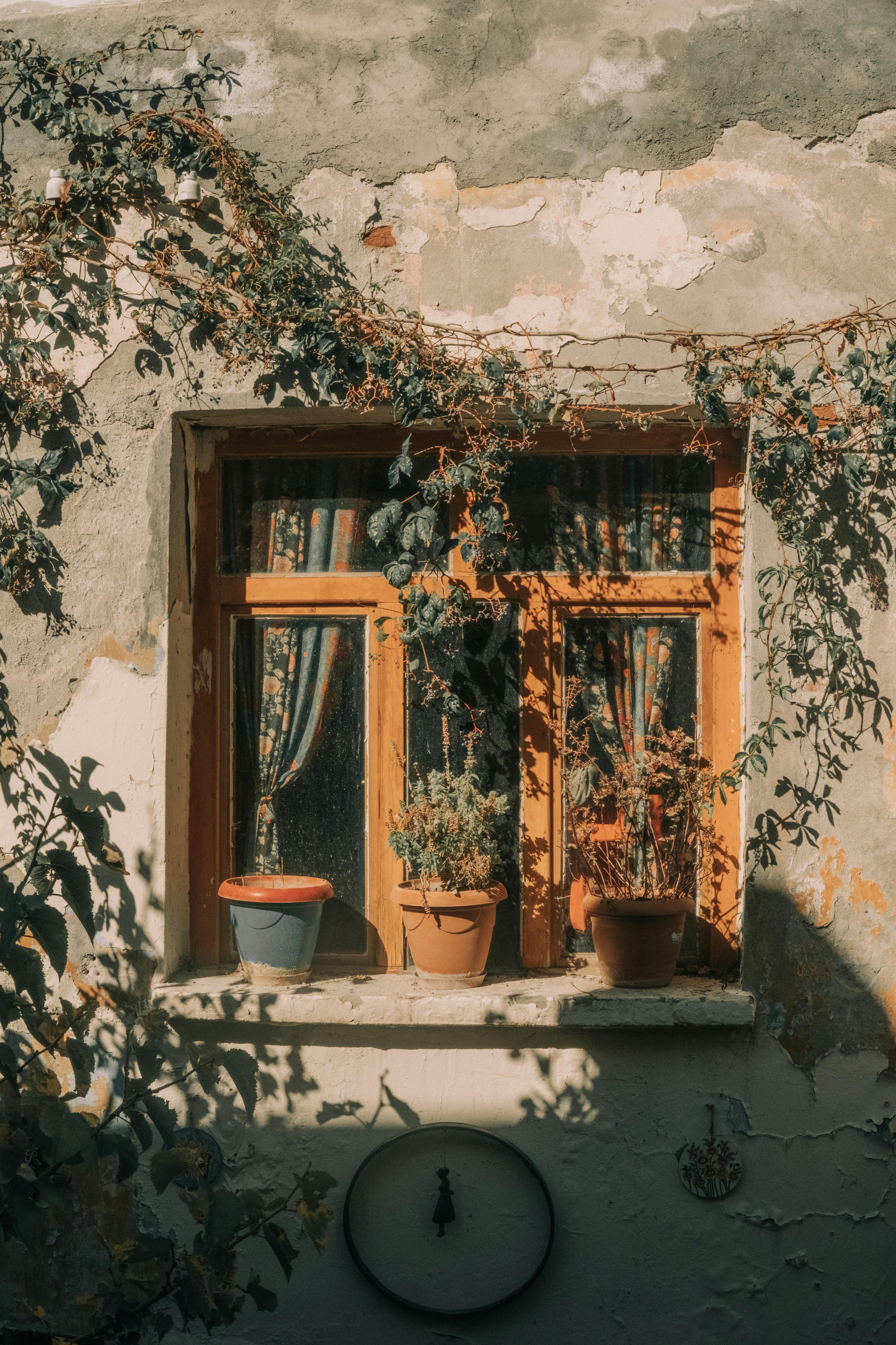 Sustainable Home Decor: Stylish Ideas for Eco-Friendly Living